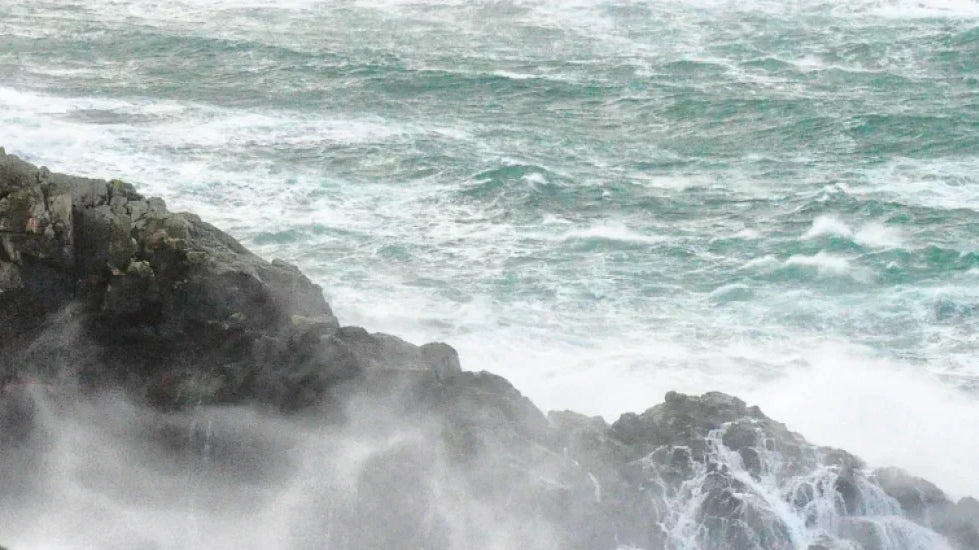 5 Spirits You Need to Try: Actually Made In Cornwall