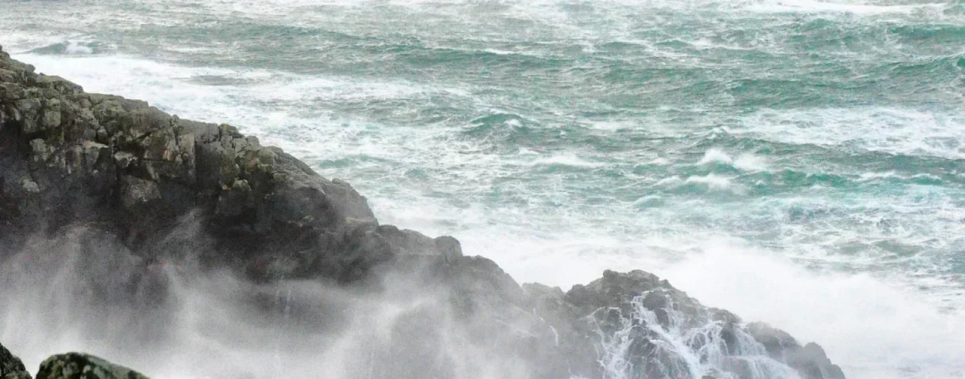 5 Spirits You Need to Try: Actually Made In Cornwall